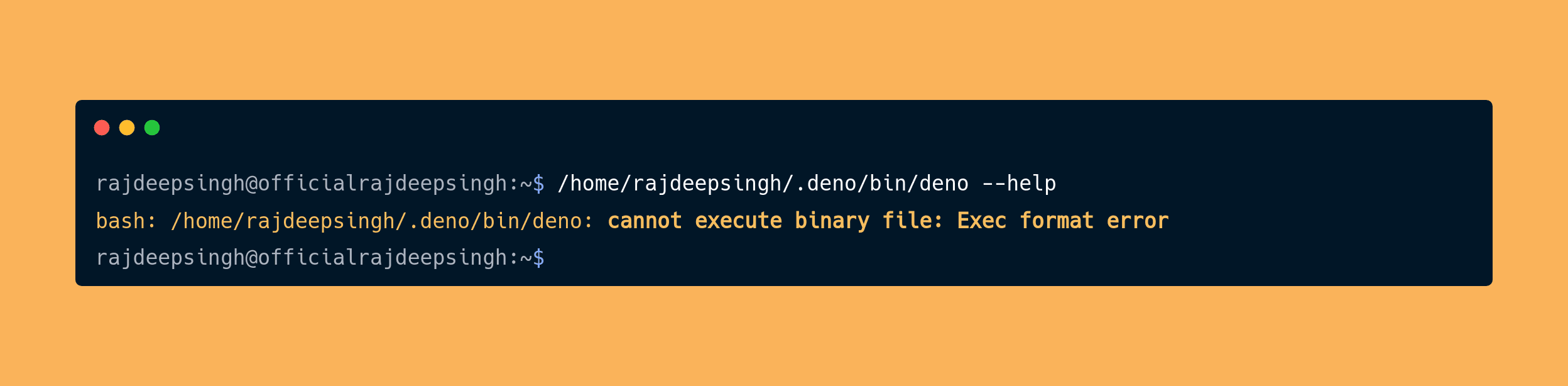 Deno cannot execute binary file: Exec format error in Raspberry pi