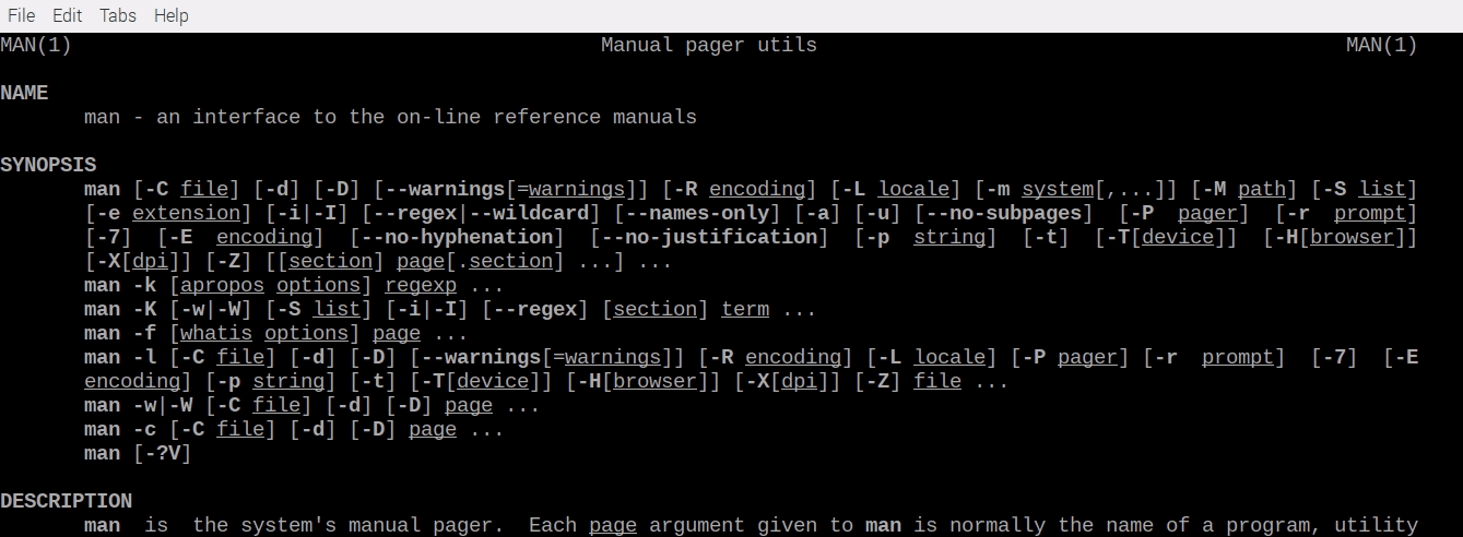 man Command Output